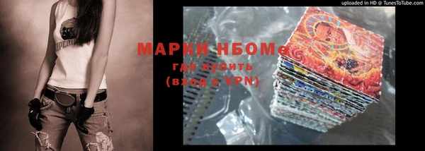 хмурый Нея