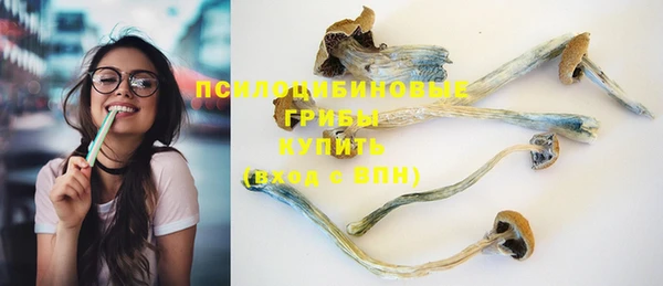 хмурый Нея
