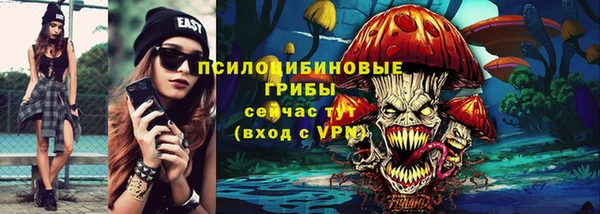 хмурый Нея