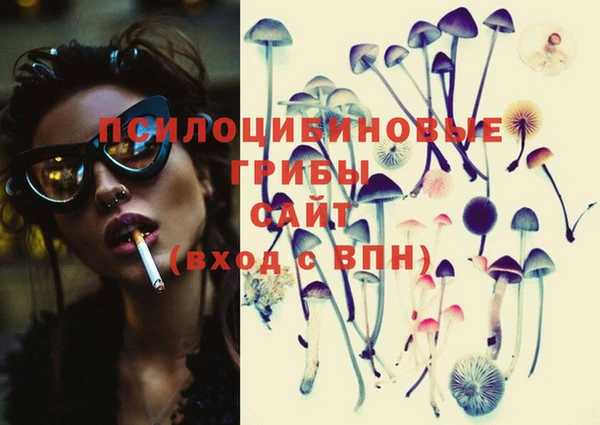 хмурый Нея