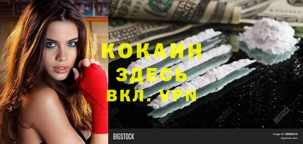 хмурый Нея
