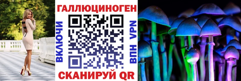 Псилоцибиновые грибы Cubensis Стерлитамак