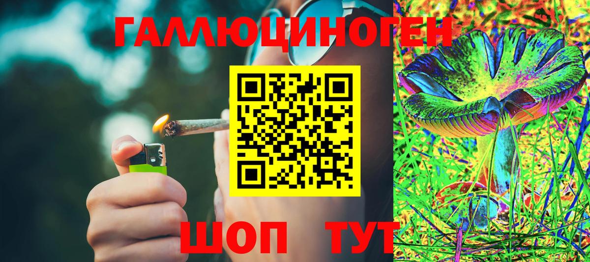 Псилоцибиновые грибы ЛСД Стерлитамак