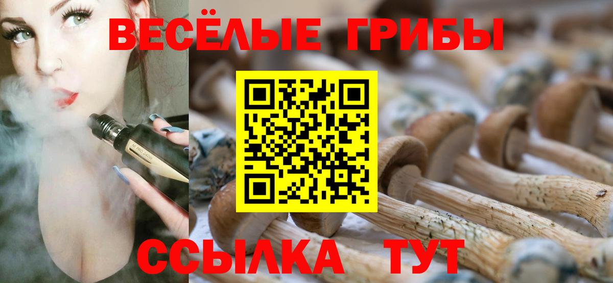 Галлюциногенные грибы Cubensis  где продают   Стерлитамак  Вход с VPN 