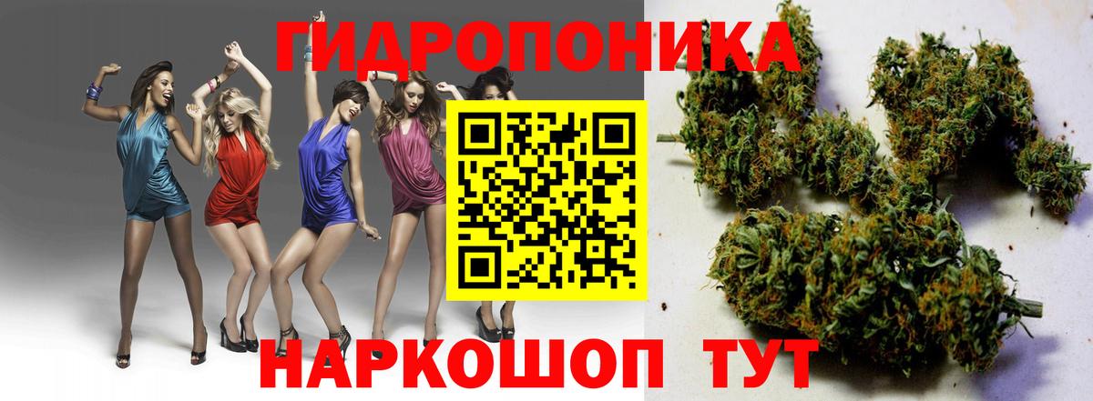 Бошки марихуана MAZAR  Вход с VPN  МАРИХУАНА THC 21%  Шишки марихуана план  Стерлитамак 